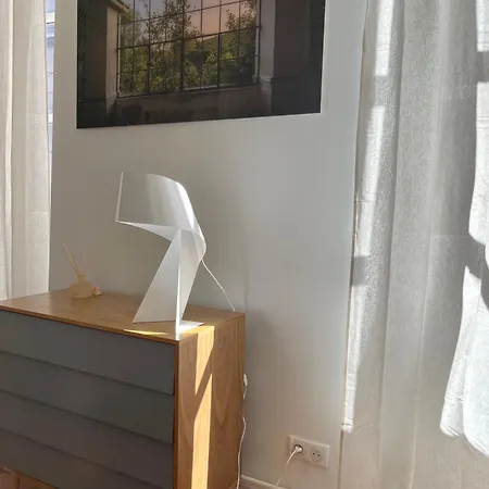 Renovation D'architecte Dans Le Coeur Historique De تولوز