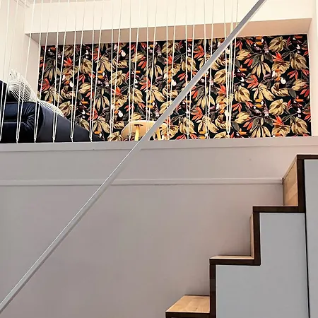 Renovation D'architecte Dans Le Coeur Historique De * 툴루즈