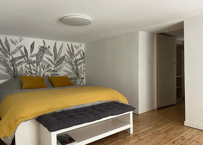 Apartman Renovation D'architecte Dans Le Coeur Historique De Toulouse