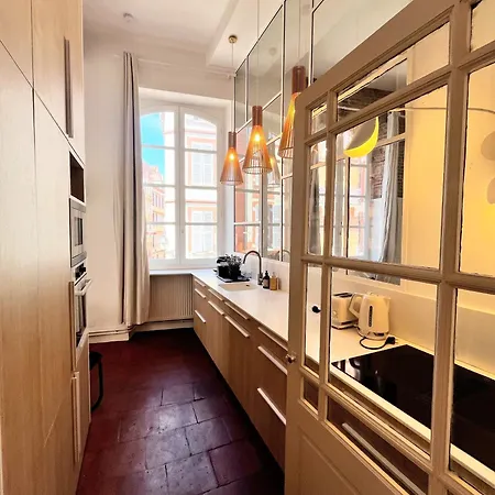 Renovation D'architecte Dans Le Coeur Historique De Apartman Toulouse
